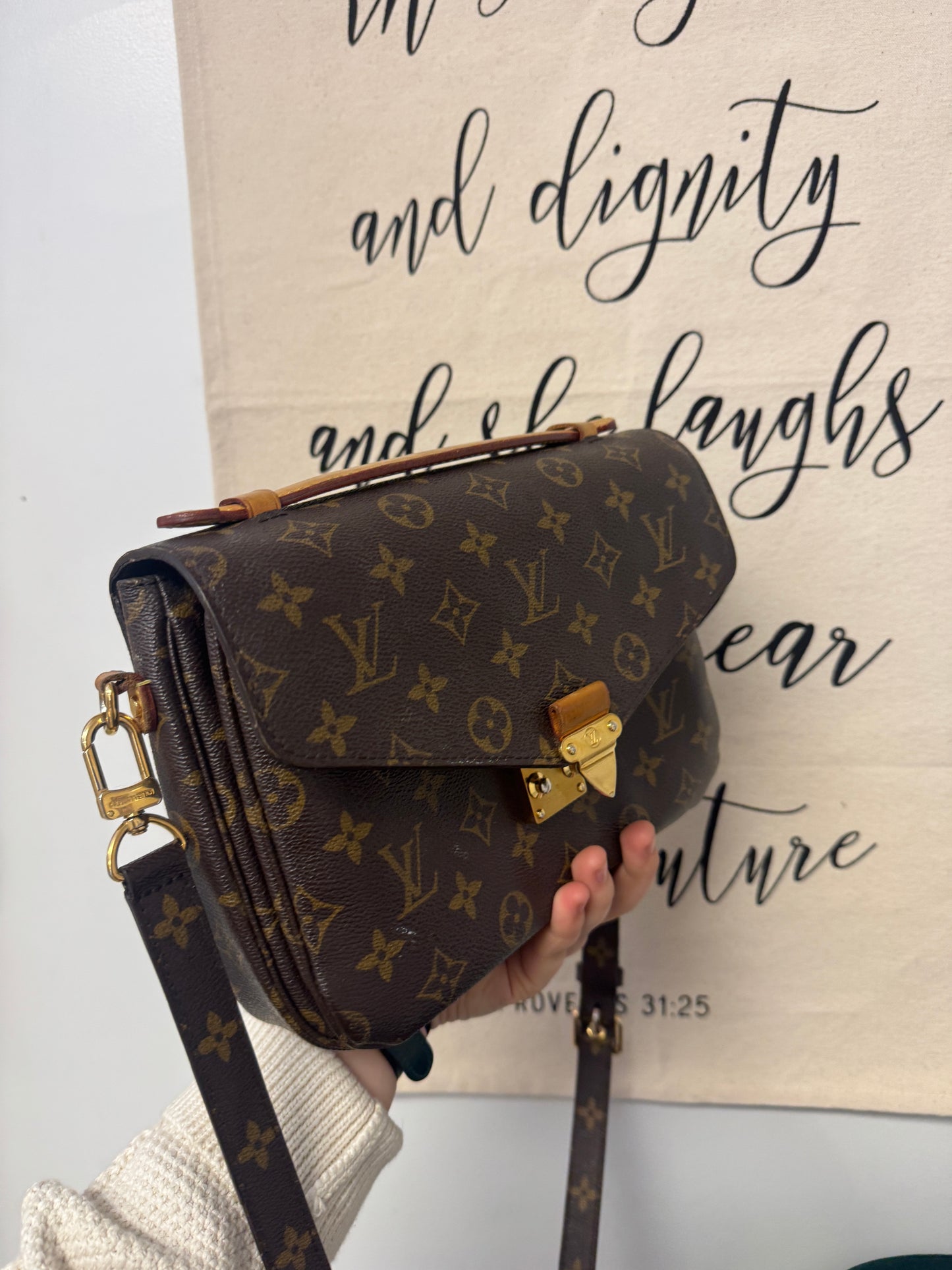 Louis Vuitton Bag