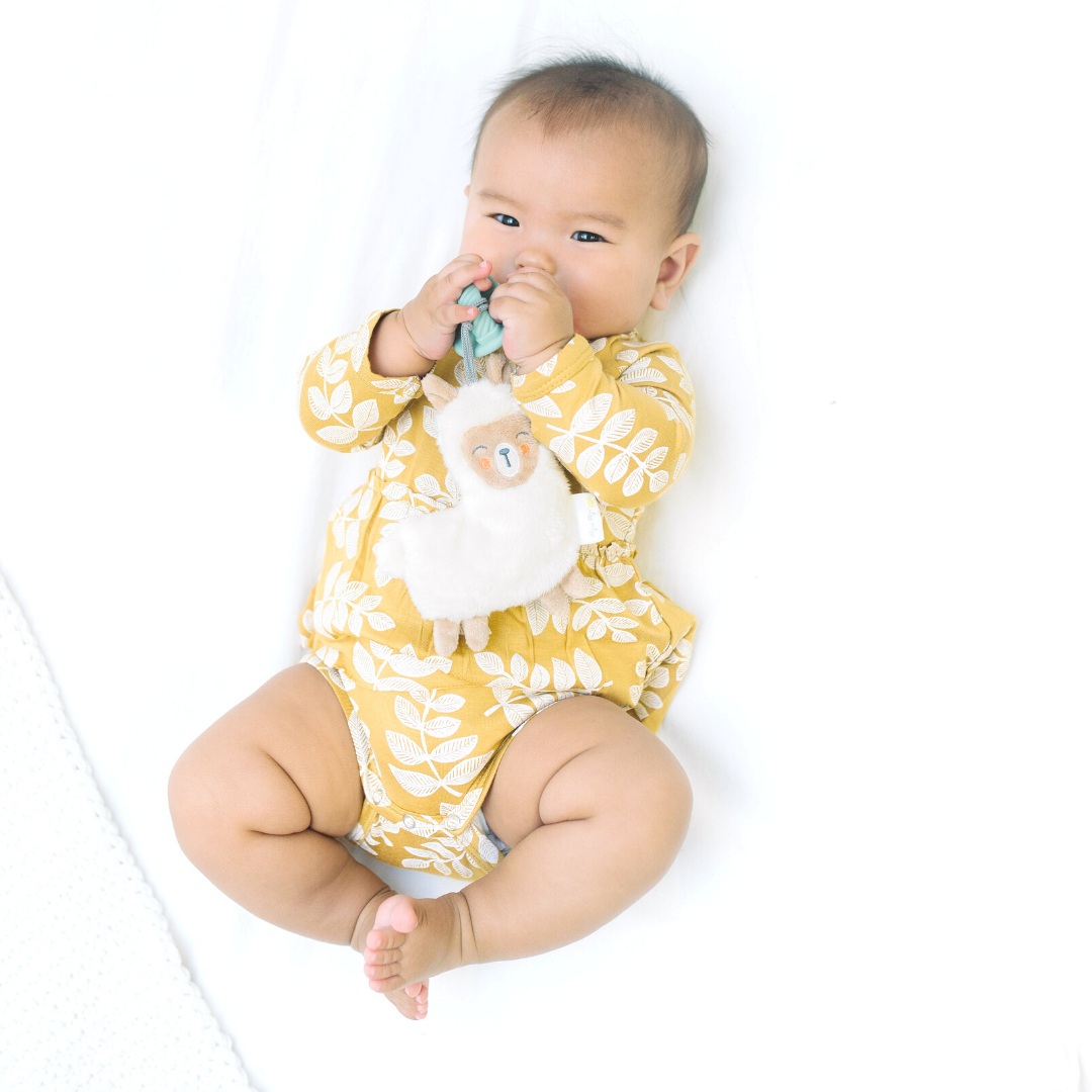 Sweetie Pal™ Plush & Pacifier: Llama